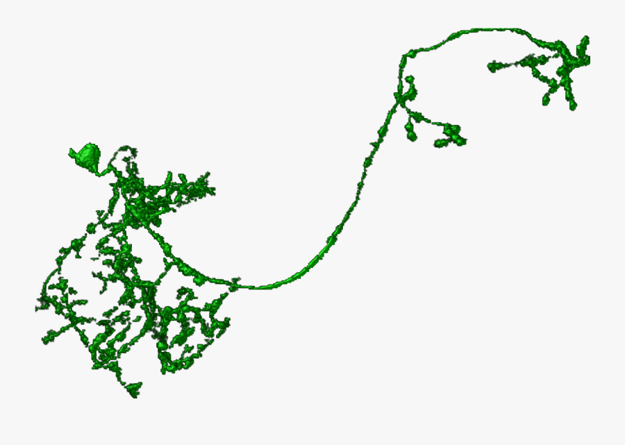 Illustration, Transparent Clipart