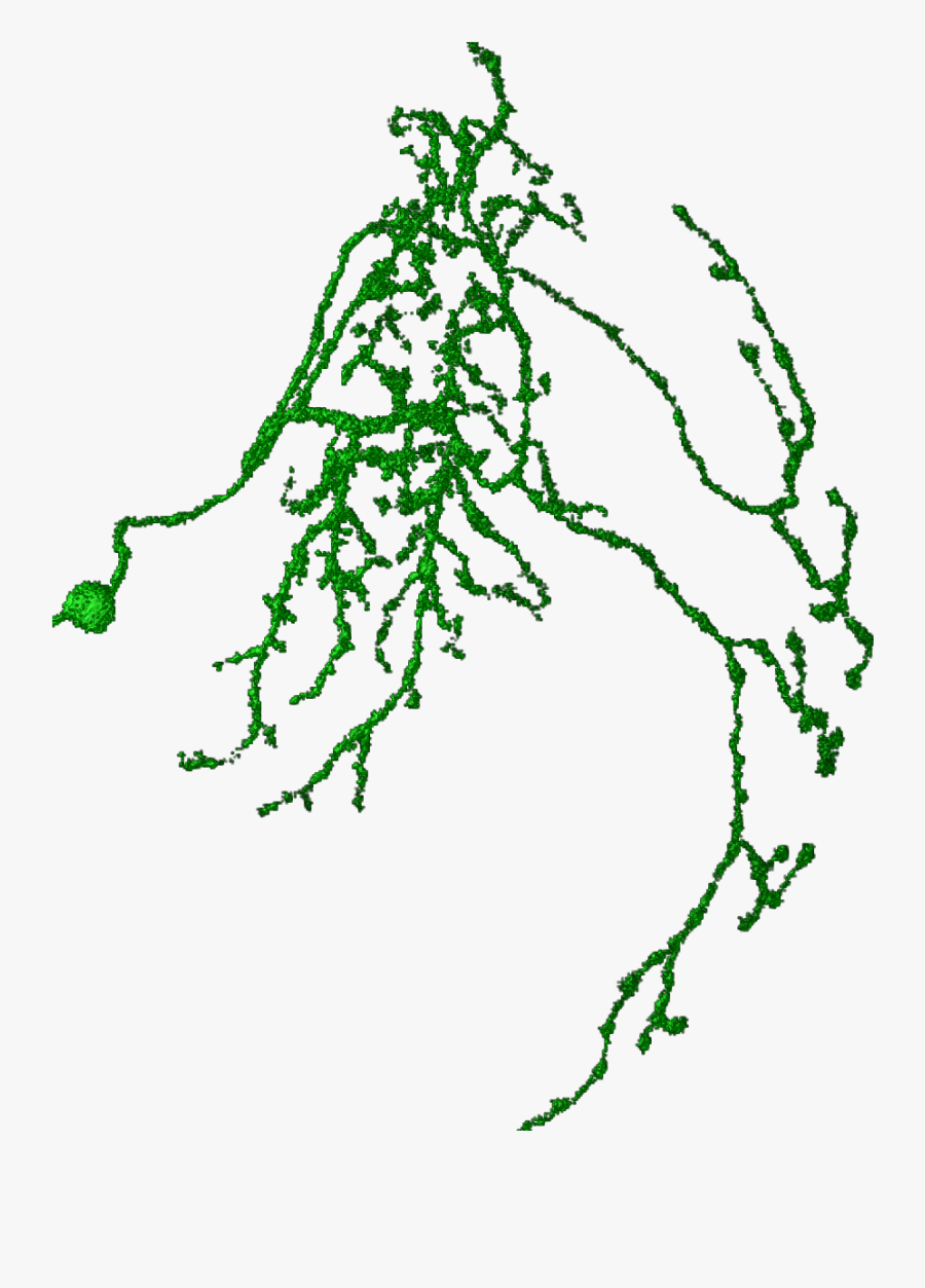 Illustration, Transparent Clipart