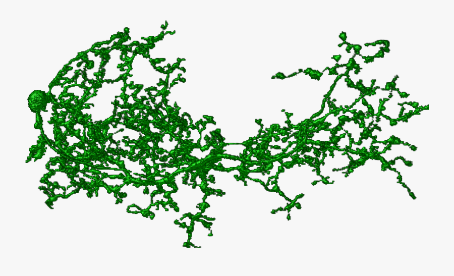 Illustration, Transparent Clipart