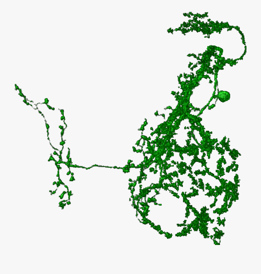 Illustration, Transparent Clipart