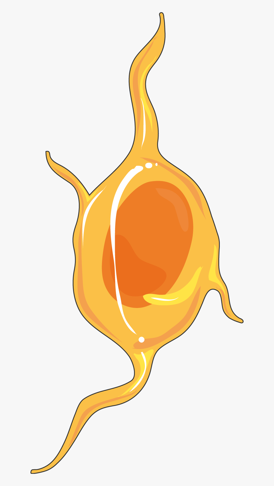 Neuroblast Png, Transparent Clipart