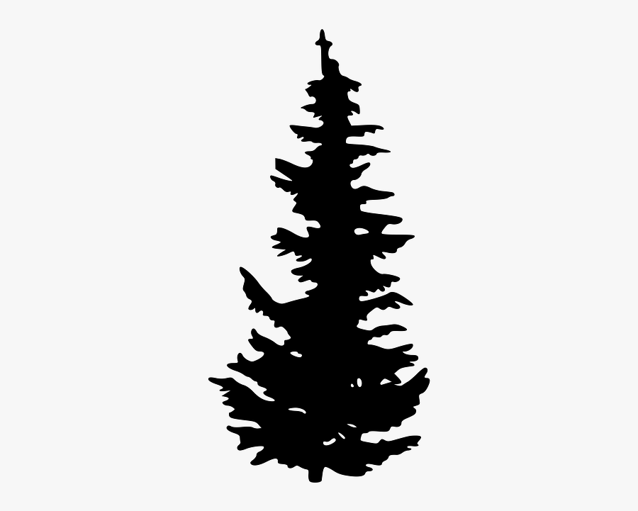 Evergreen Tree Pine Clip Art - Vector Evergreen Tree Silhouette, Transparent Clipart