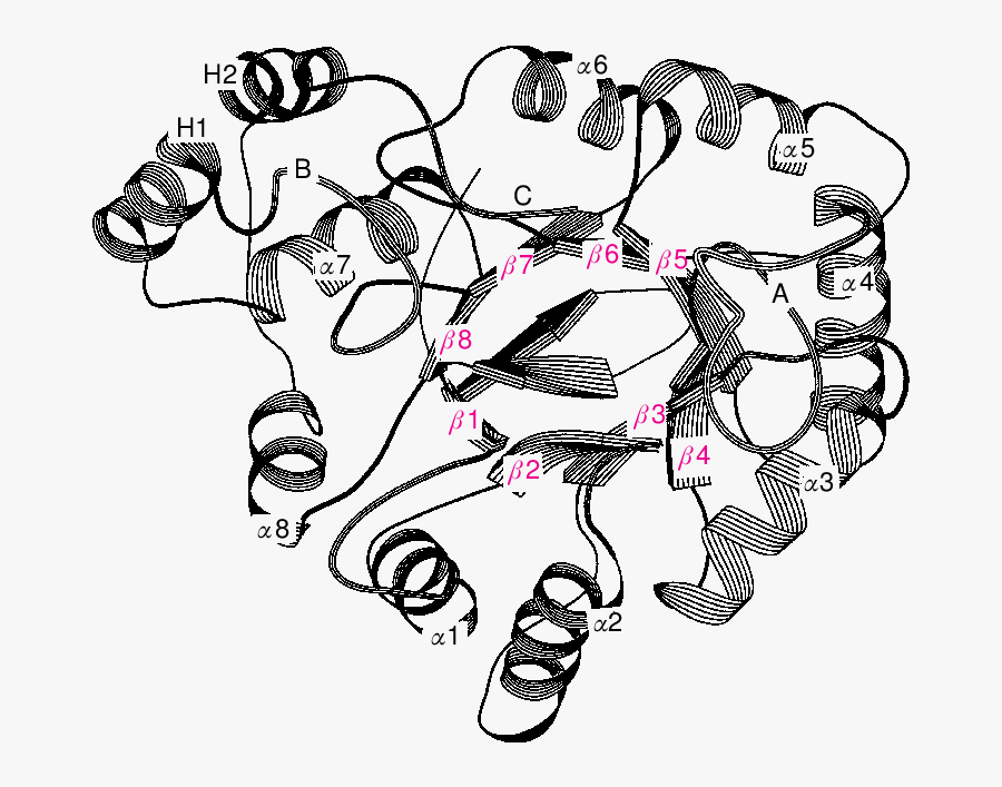 A Common Three Dimensional Fold For The Akrs The Ribbon - Illustration, Transparent Clipart