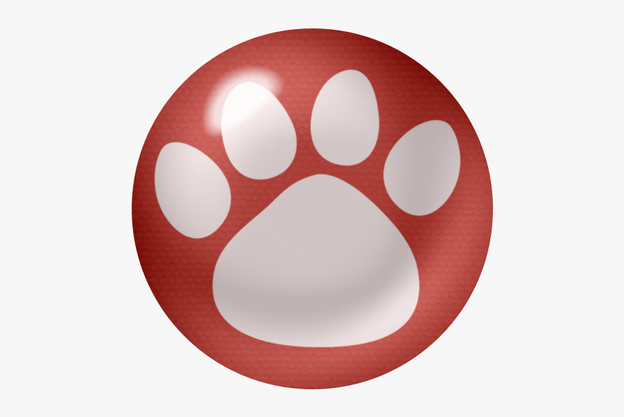 Circle, Transparent Clipart