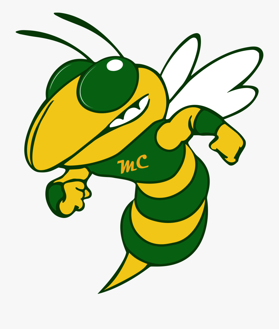 Transparent Bee Mascot Clipart - Big Lake Hornets, Transparent Clipart