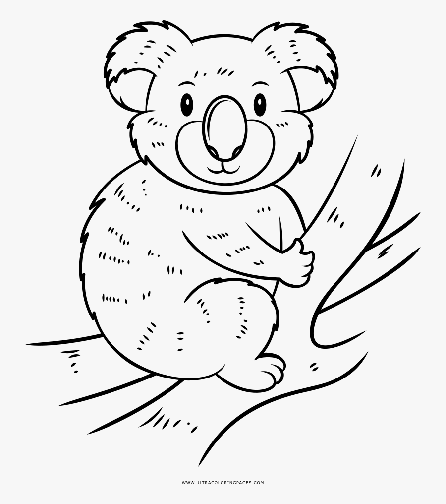 Transparent Koala Png - Desenho Para Colorir De Koala, Transparent Clipart