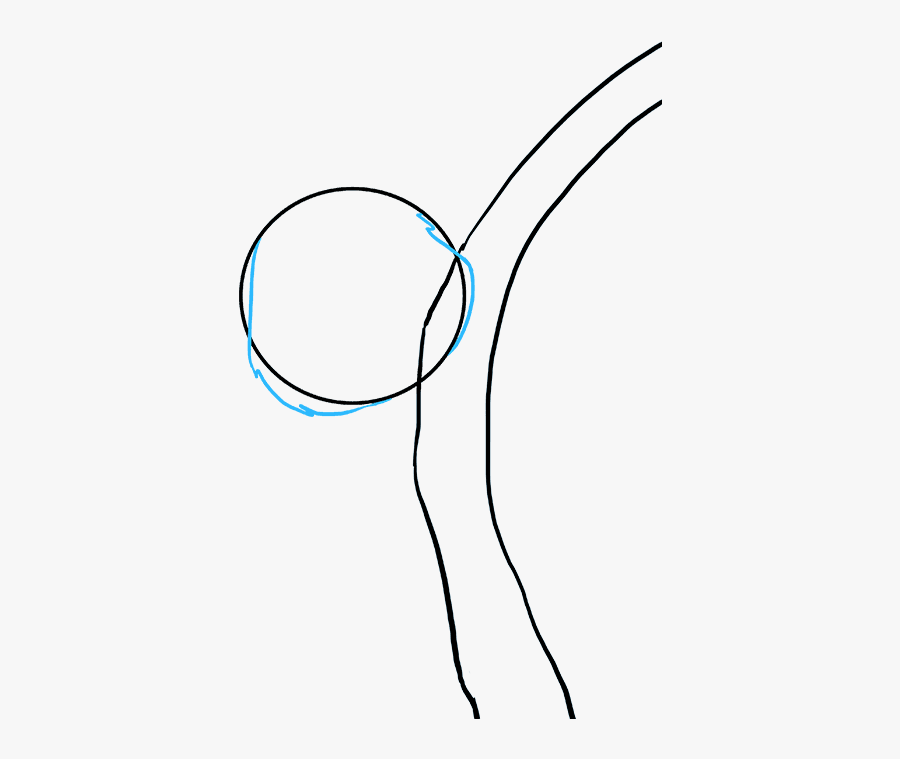 How To Draw Koala - Line Art, Transparent Clipart