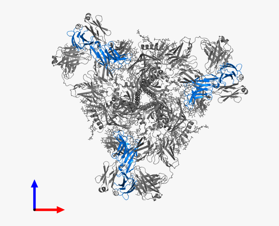 Pdb Js Gallery Protein - Graphic Design, Transparent Clipart