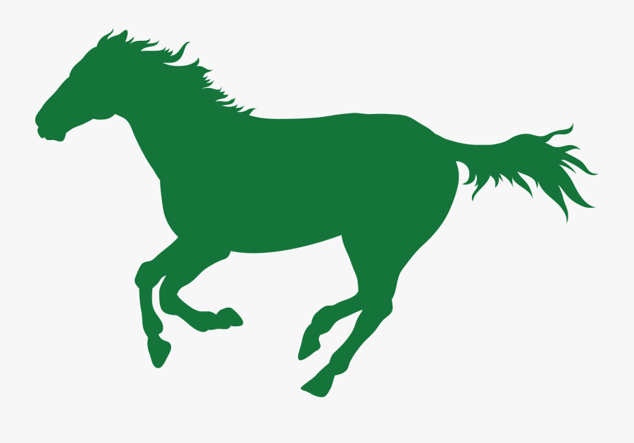 Campaign Winner Of 4 Races In San Isidro And La Plata - Jumping Horse, Transparent Clipart