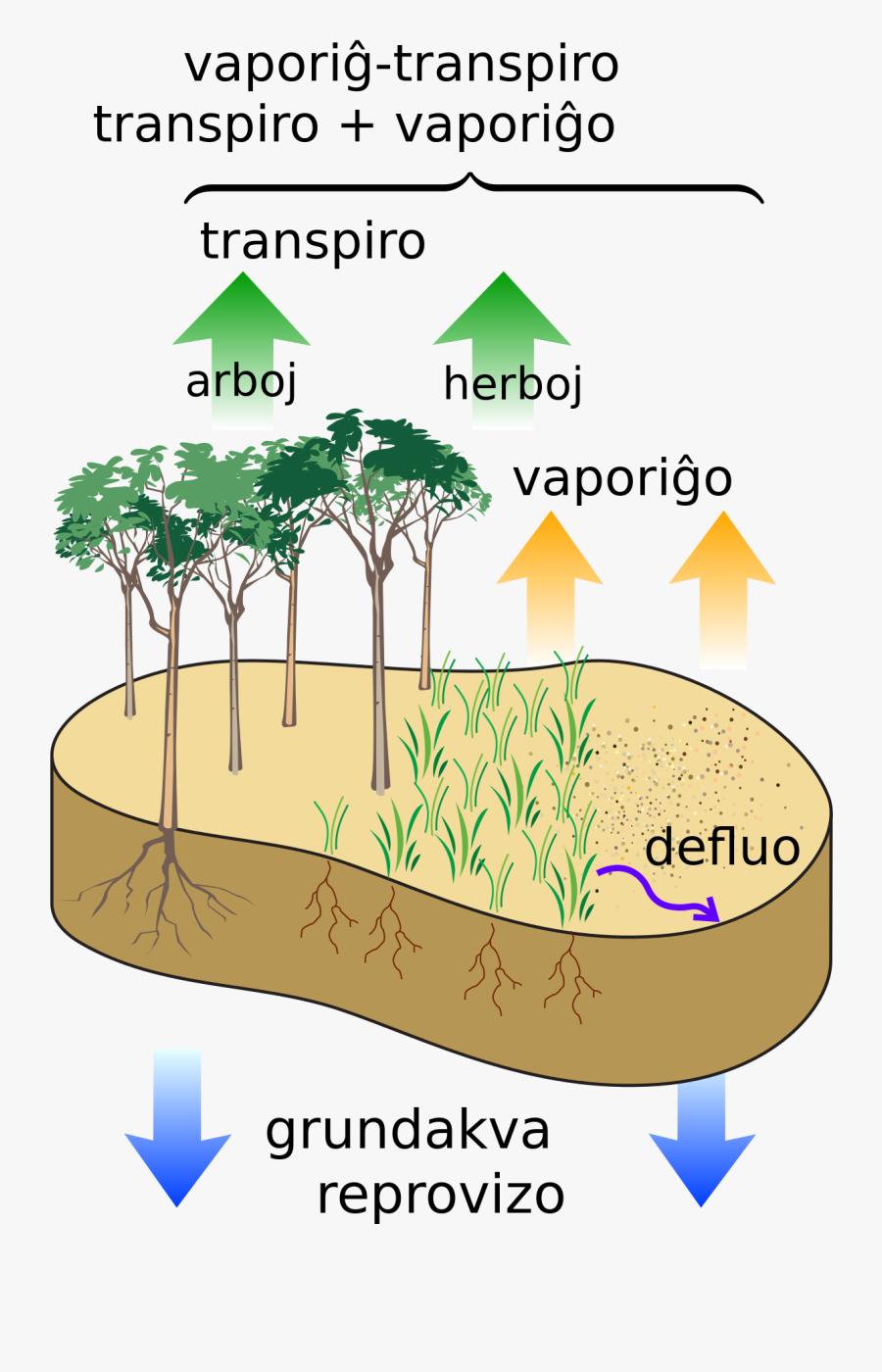 Harmful Effect Of Deforestation, Transparent Clipart