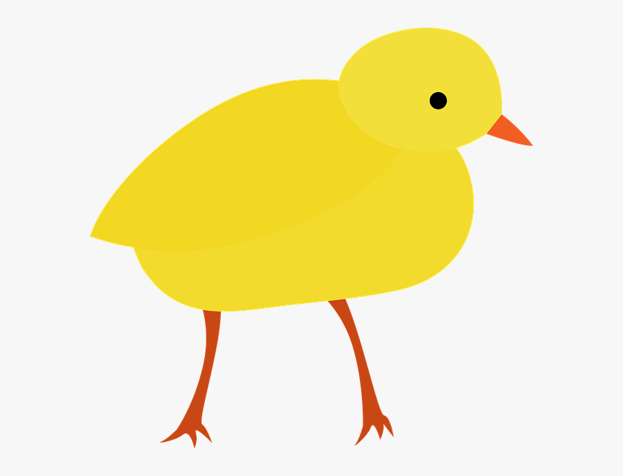 Hen Clipart Life Cycle Chicken - Transparent Background Chick Clipart Easter Chick Transparent, Transparent Clipart