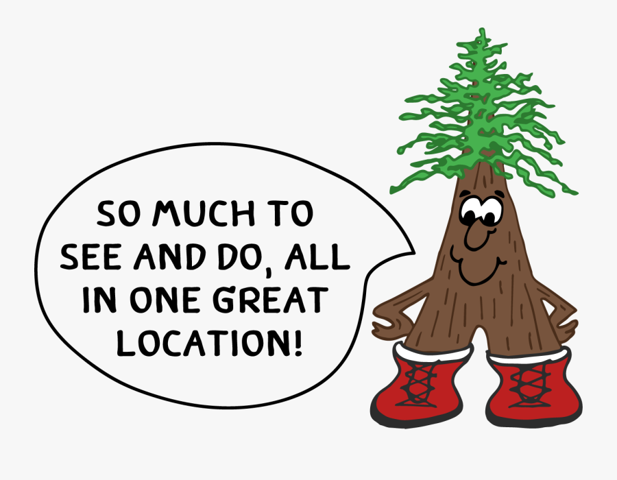 Mandala Of Health Model, Transparent Clipart