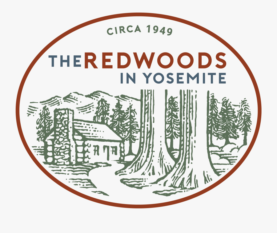 Circle, Transparent Clipart