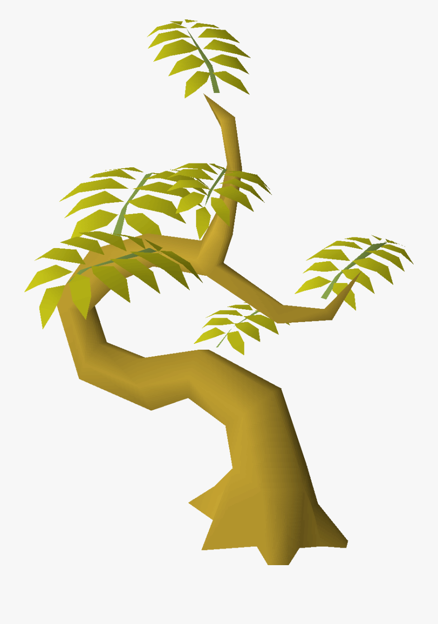 Roystonea, Transparent Clipart