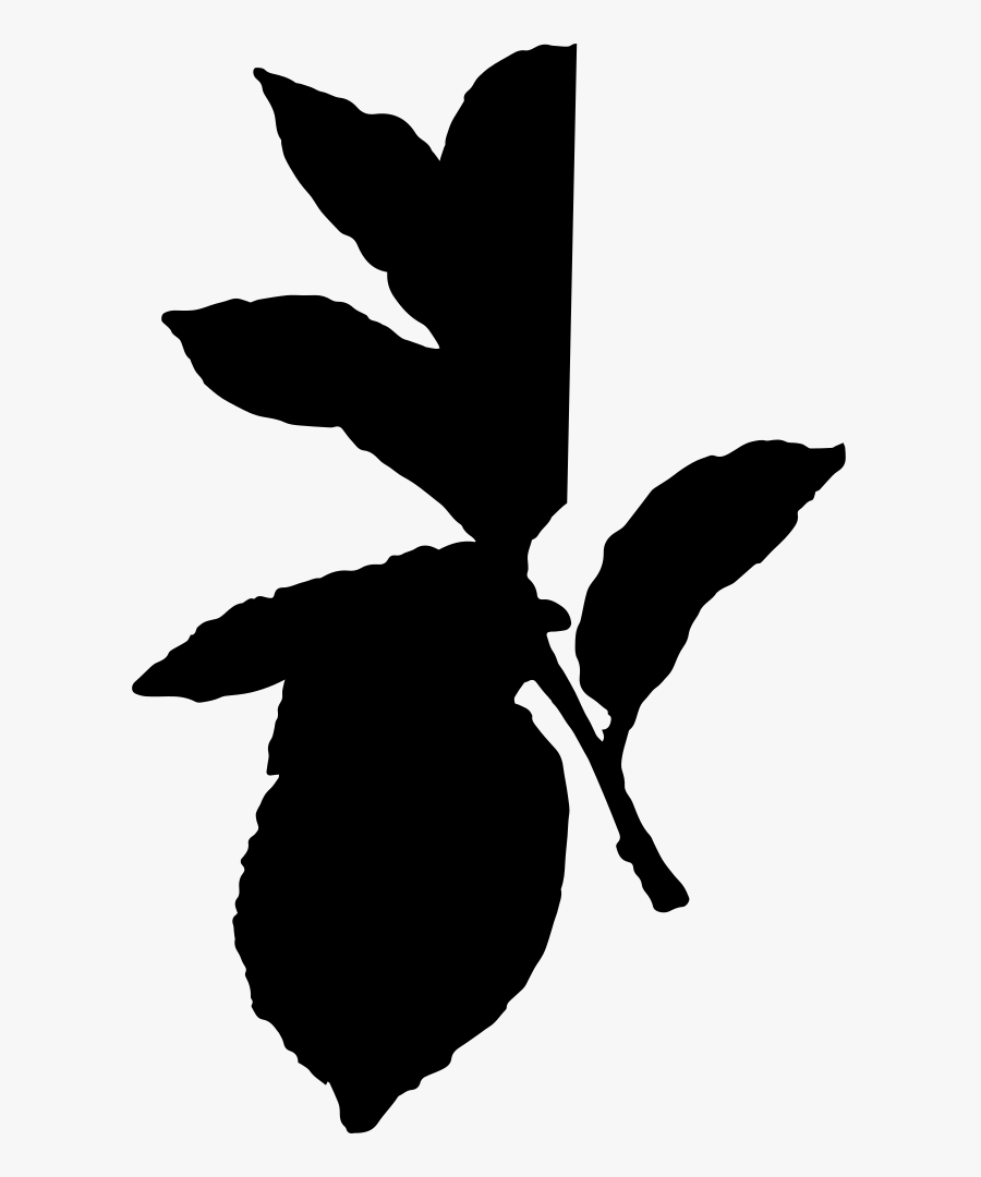 Lemon, Transparent Clipart