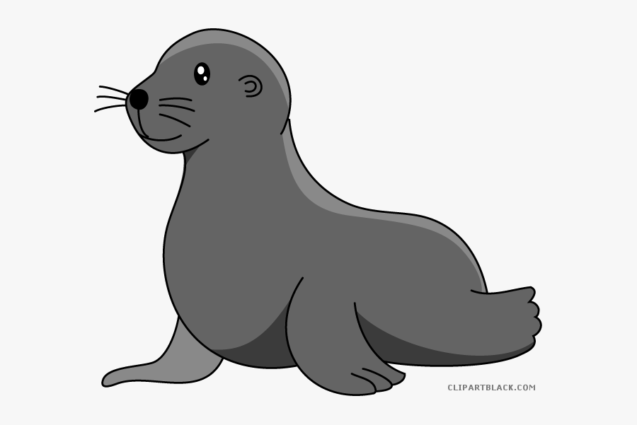 Baby Sea Lion Clip Art Sea Lion Swims - Clip Art Sea Lion, Transparent Clipart