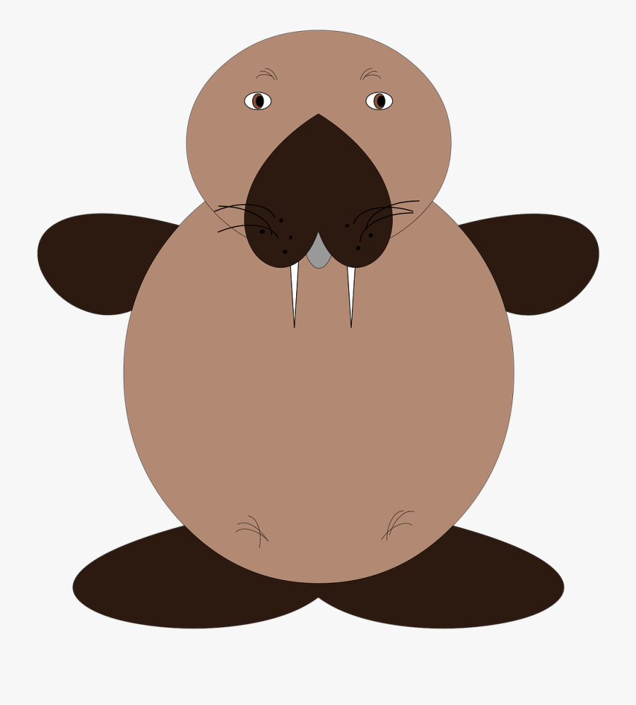 The Sea Lion Animals Mammal Free Picture - Animali Di Mare Png, Transparent Clipart