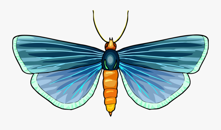 Monarch Butterfly Moth Brush Footed Butterflies - Butterfly Clipart Images Black And White, Transparent Clipart