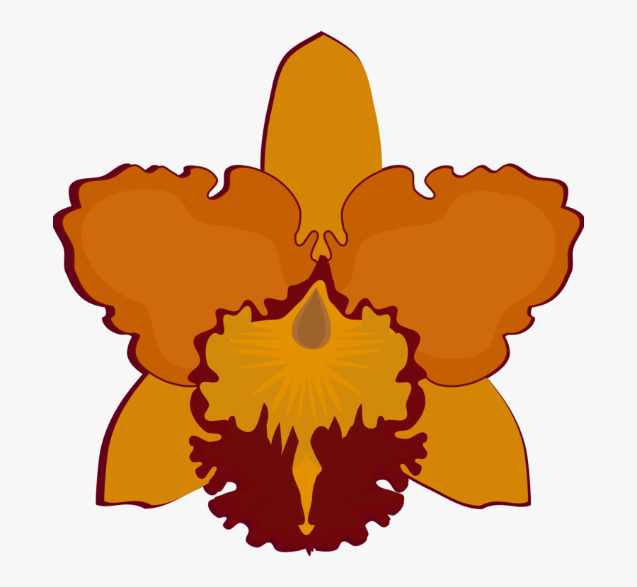 Cattleya Orchids Flowering Plant Petal Moth Orchids - Orange Cattleya Flower Clipart, Transparent Clipart