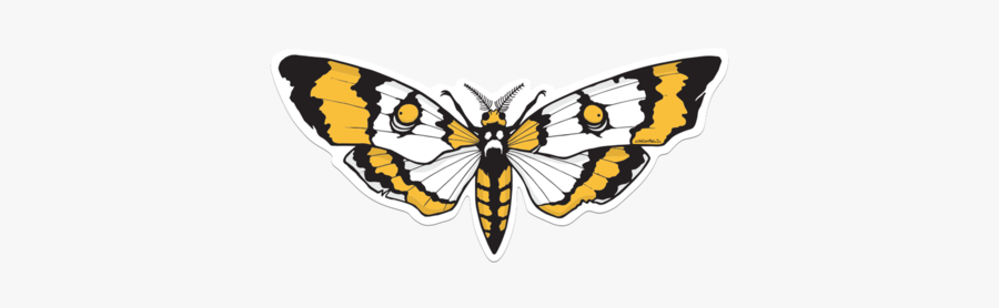 Vanessa Cardui, Transparent Clipart