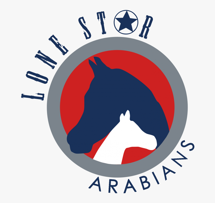 Poster, Transparent Clipart