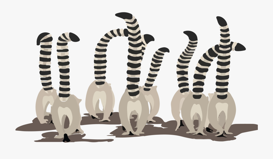 Image47 - Illustration, Transparent Clipart