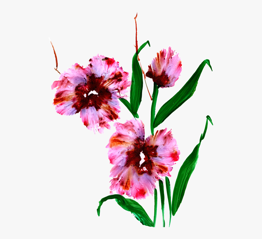 Common Peony, Transparent Clipart