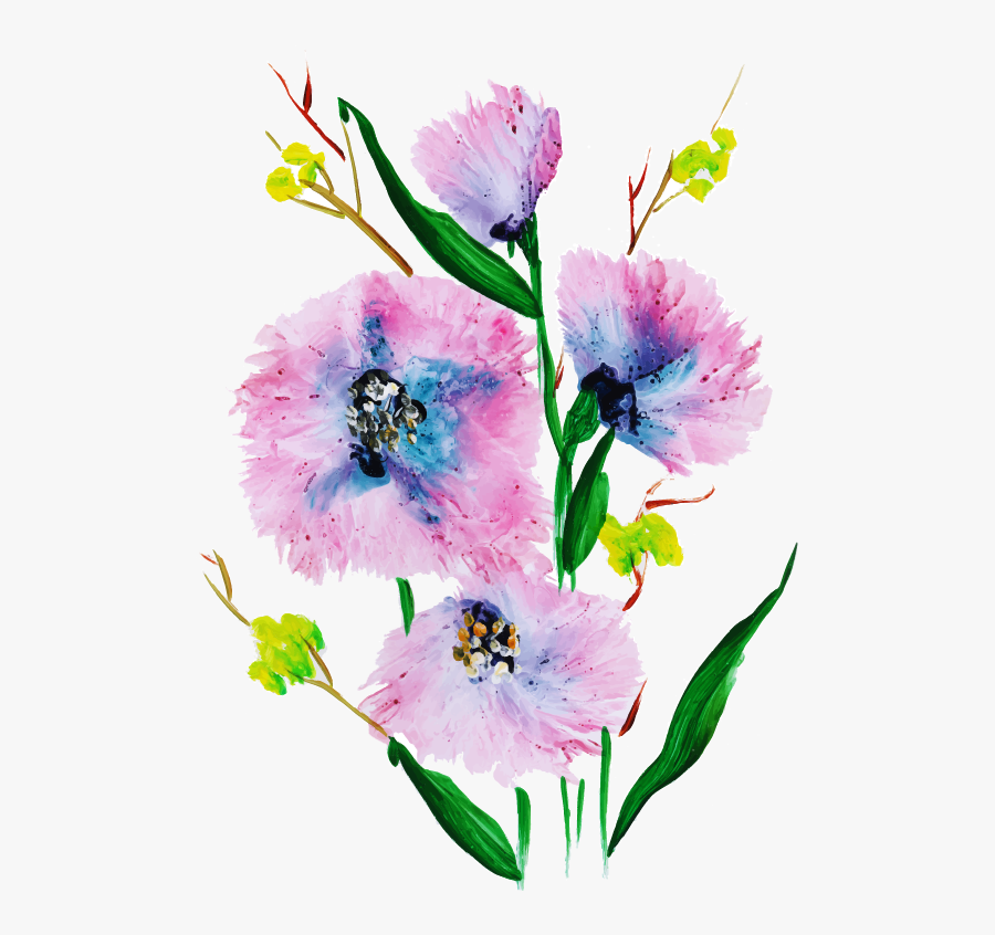 Gilliflower, Transparent Clipart