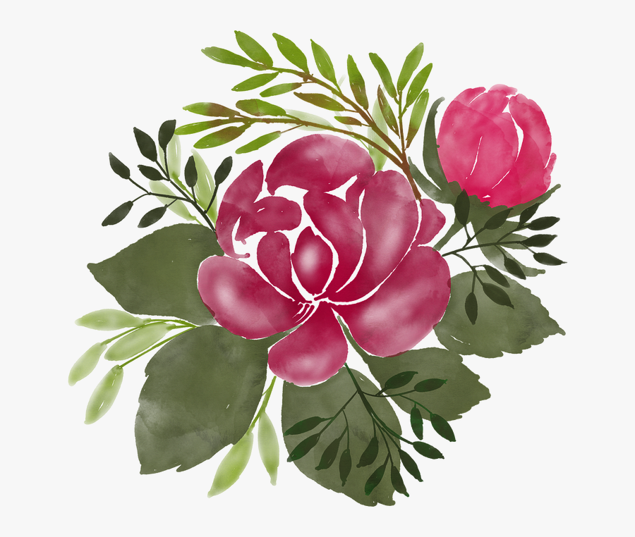 Watercolour Flowers, Watercolor, Flower, Painting - Common Peony, Transparent Clipart
