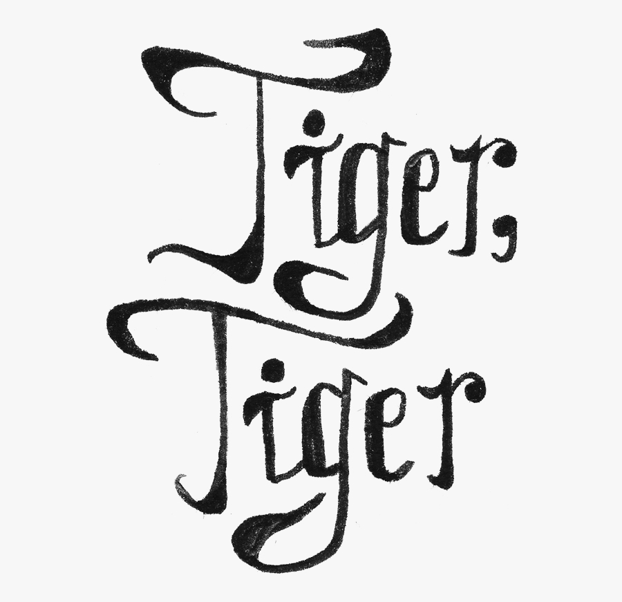 Tiger Written In Different Fonts, Transparent Clipart