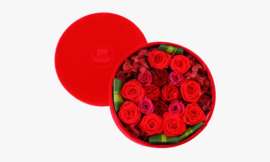 Clip Art Garden Roses Beach Rose - Garden Roses, Transparent Clipart