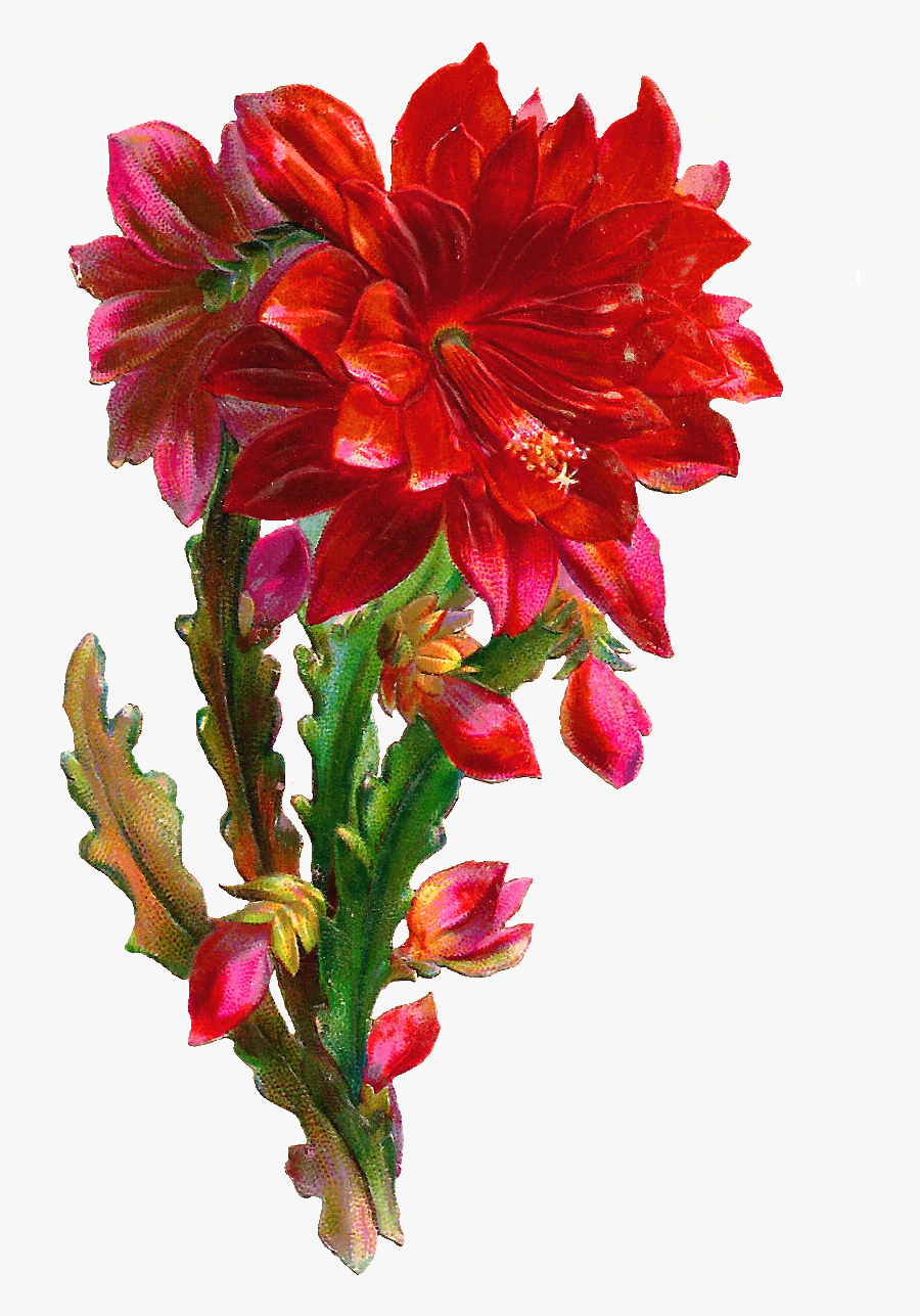 Png Transparent Beautiful Flowers, Transparent Clipart