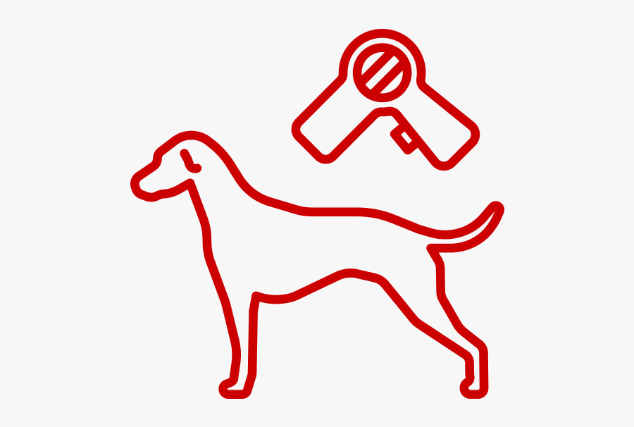 Hunting Dog, Transparent Clipart
