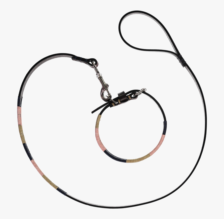 Circle, Transparent Clipart