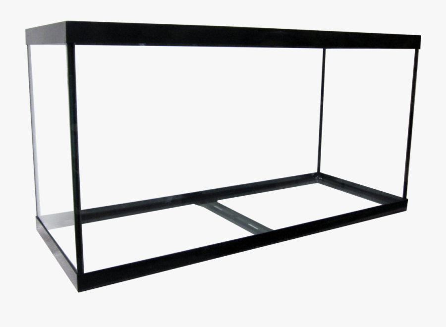 90 Regular Aquarium - 75 Gallon Tank, Transparent Clipart