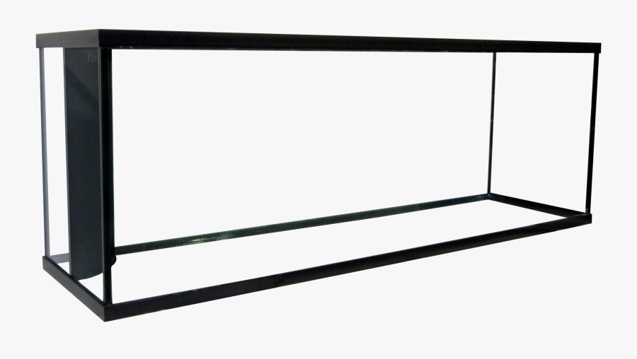 Clip Art Gallon Single Reef - Line Art, Transparent Clipart