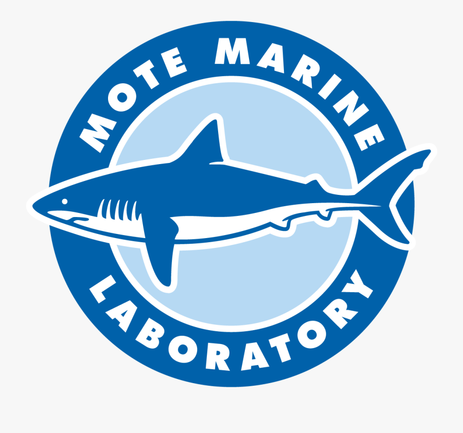 Mote Marine Laboratory & Aquarium - Mote Marine Laboratory & Aquarium, Transparent Clipart
