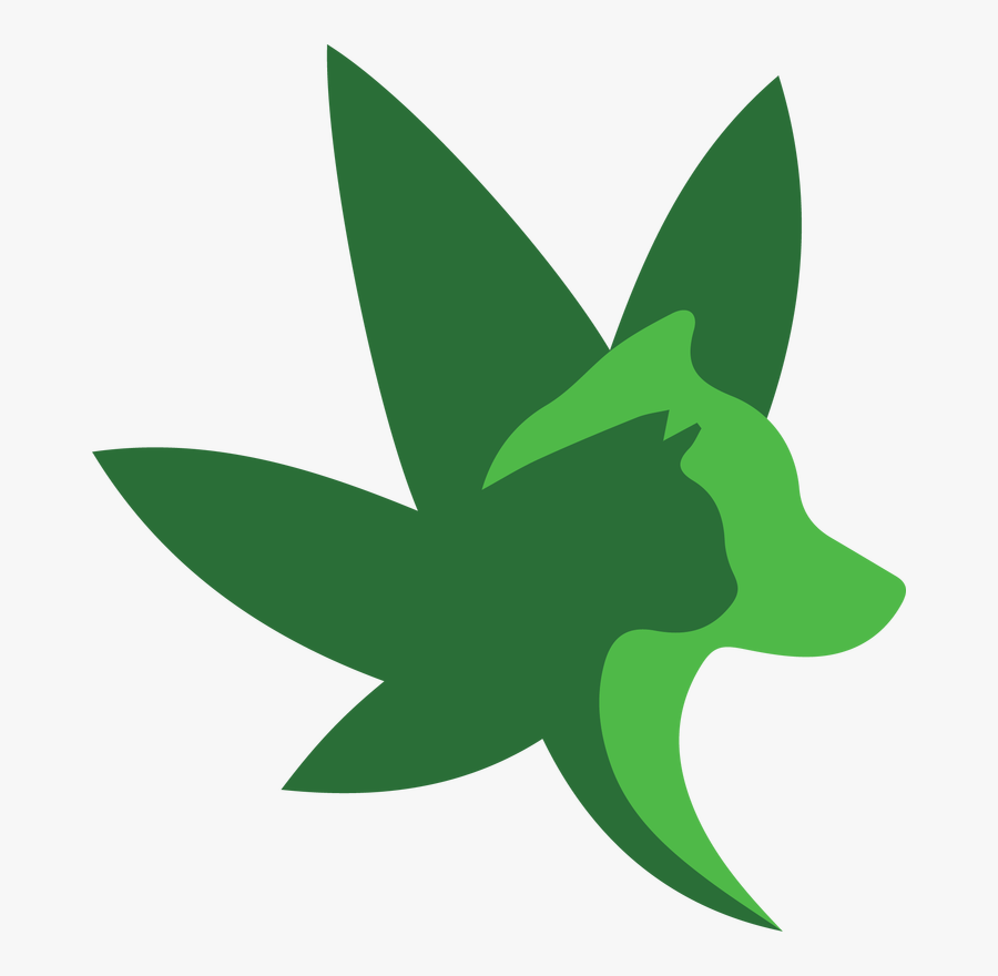 Picture - Illustration, Transparent Clipart