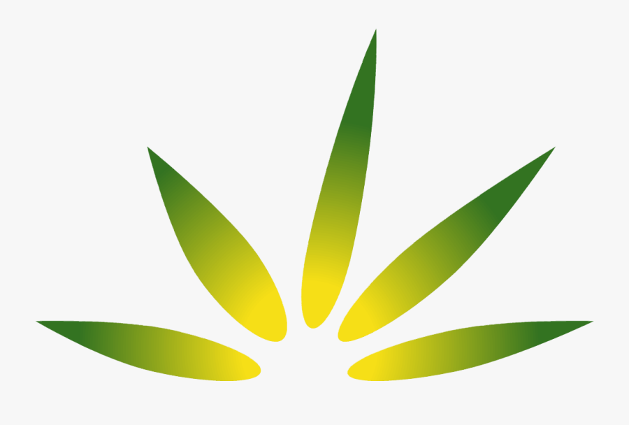 Cannabis Frontier - Illustration - Graphic Design, Transparent Clipart