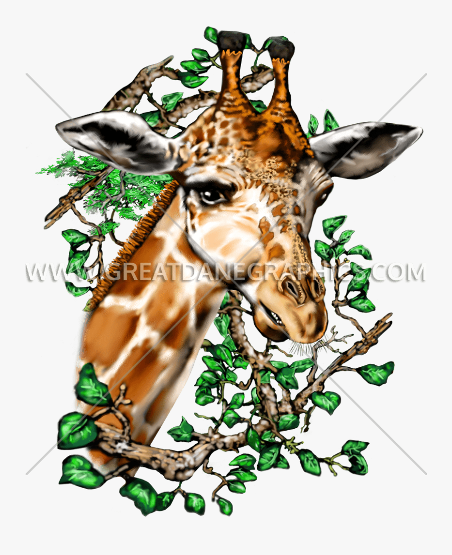 Vector Giraffe Svg - Giraffe, Transparent Clipart