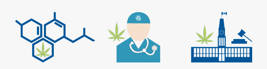 Cannabis Rules And Regulations In Canada - Emblem, Transparent Clipart