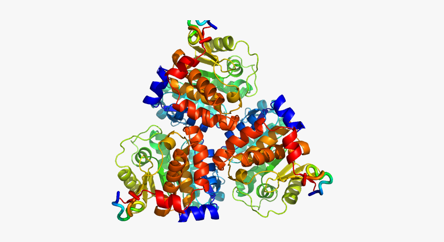 Christmas Tree, Transparent Clipart