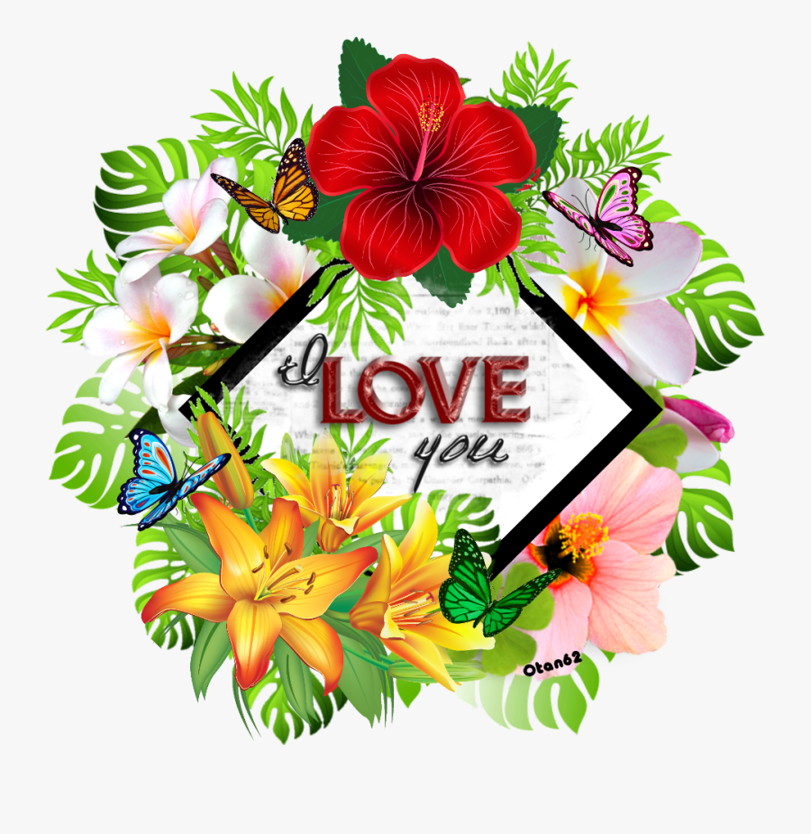 #otan62 #tropical #island #love, Transparent Clipart