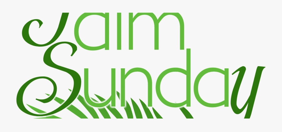 Clip Art Freeuse Stock Palm Sunday Luke This Liminal - Happy Palm Sunday Png, Transparent Clipart