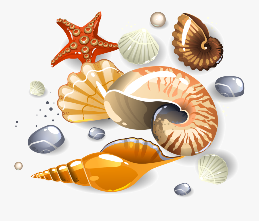 Seashell On Sand Cartoon, free clipart download, png, clipart , clip art, t...
