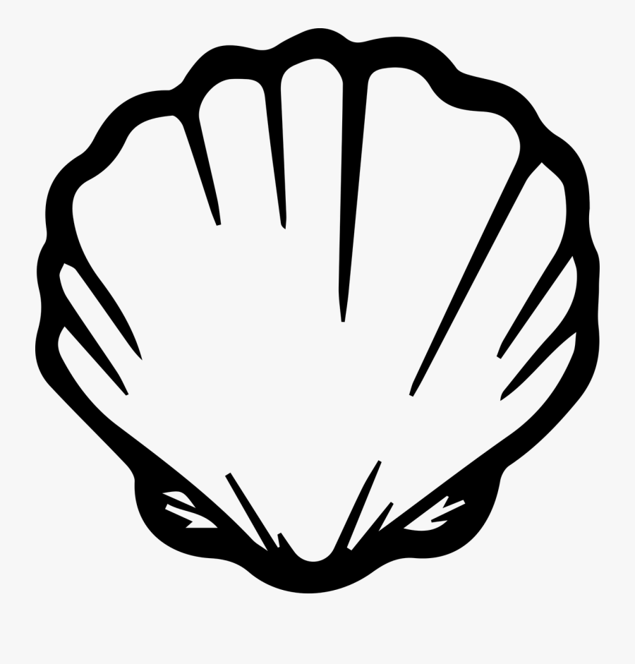 Seashell Shell Ocean Free Picture - Seashell Clipart Black And White, Transparent Clipart