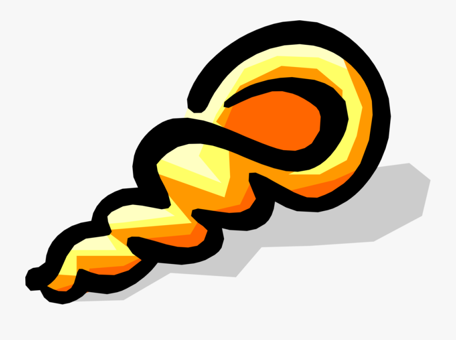 Vector Illustration Of Marine Aquatic Mollusk Seashell, Transparent Clipart