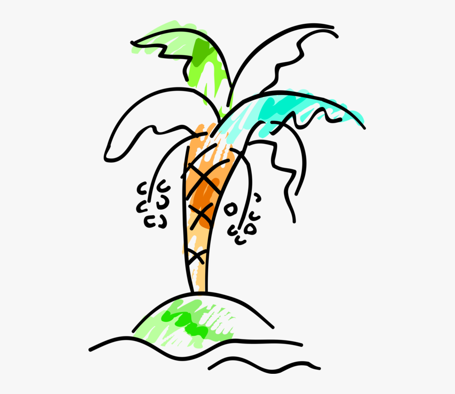 Vector Illustration Of Arecaceae Palm Tree With Coconuts, Transparent Clipart