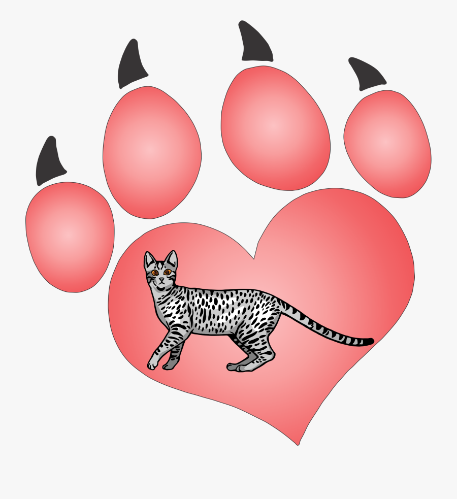 Cat Paw 41 Decal - Valentines Day Dog Clipart, Transparent Clipart