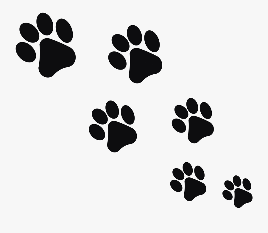 Footprint Animal Cat Free Picture - Huellas De Gato Png, Transparent Clipart